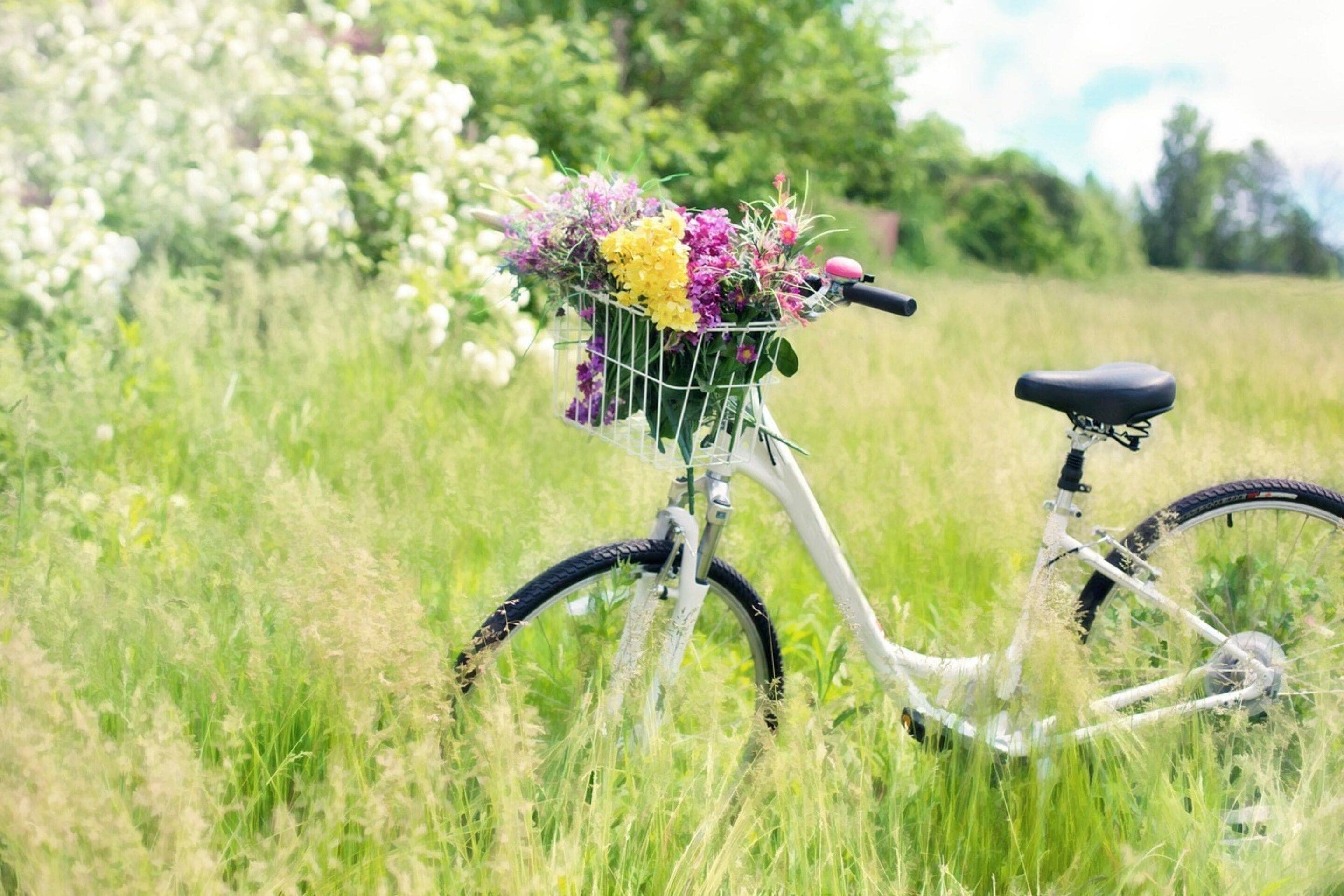 A bicycle with a basket containing flowers, parked in a grassy field.