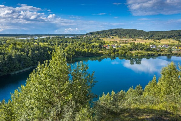 A river with a forested area and houses in the background. - Holiday Home in Kolczewo Near Baltic Sea (gmina Wolin)