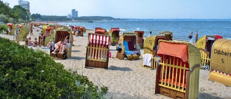 A beach with rows of wicker beach chairs and umbrellas, a clear sky, and a distant pier.