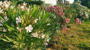 Exterior - Apartment in Castelvetrano With Garden (Castelvetrano)