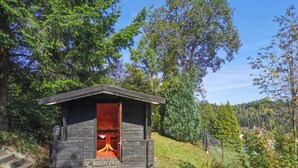 A small wooden cabin with a red interior door, surrounded by trees and a grassy hill. - Ferienwohnung mit Weitem Ausblick in Altenau (Clausthal-Zellerfeld)