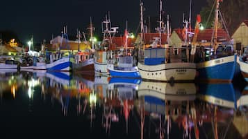 Vista desde la propiedad