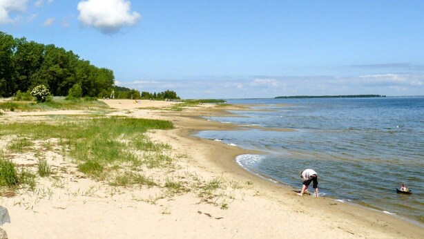 A beach with a person near the water's edge, a sandy shore, and a forested area in the background. - Gemutlicher Bungalow in Freest (Kröslin)
