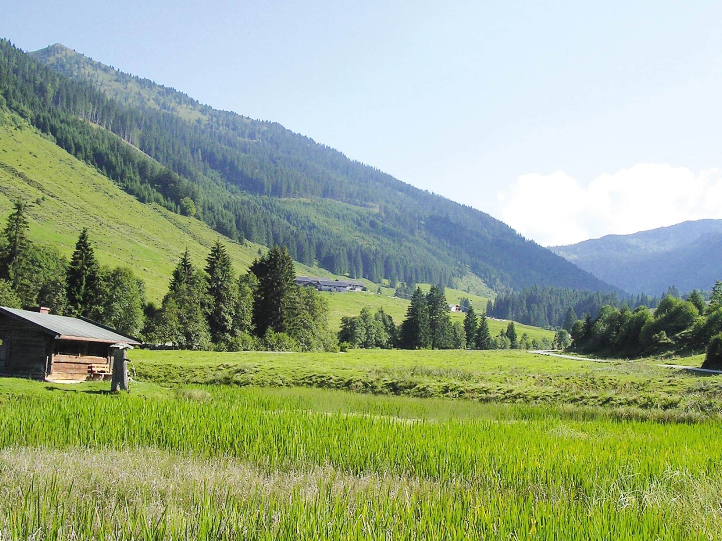 Un paysage rural avec une cabane en bois, de vastes champs verdoyants et une chaîne de montagnes en arrière-plan.