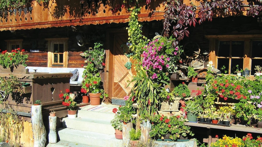 Apartment in Wildschonau by Schatzberg Lift