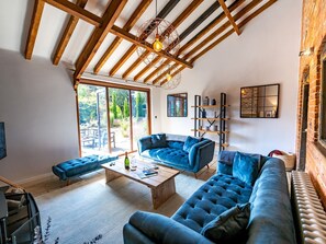 TV, fireplace, books