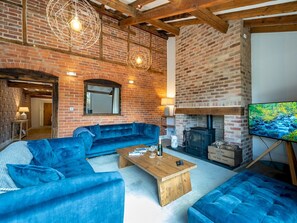 Televisión, chimenea y libros