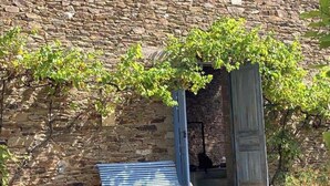 A stone building with a wooden door and a bench outside. - Tente Glamping Dans le Calme, Avec Piscine, Salle de Bain et Cuisine (Crespin)