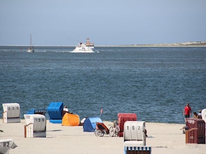 Uma praia com cadeiras de praia numeradas e um barco na água.