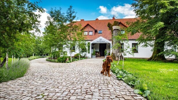 A cobblestone pathway leading to a building with a red-tiled roof and a white facade. - Large Holiday Villa With Garden, 6 Bedrooms (Łobez)