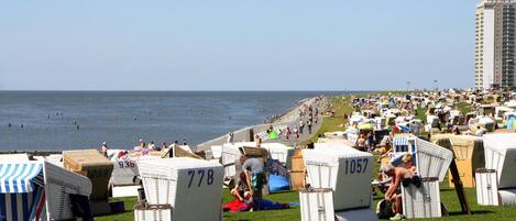 Vue depuis l’hébergement