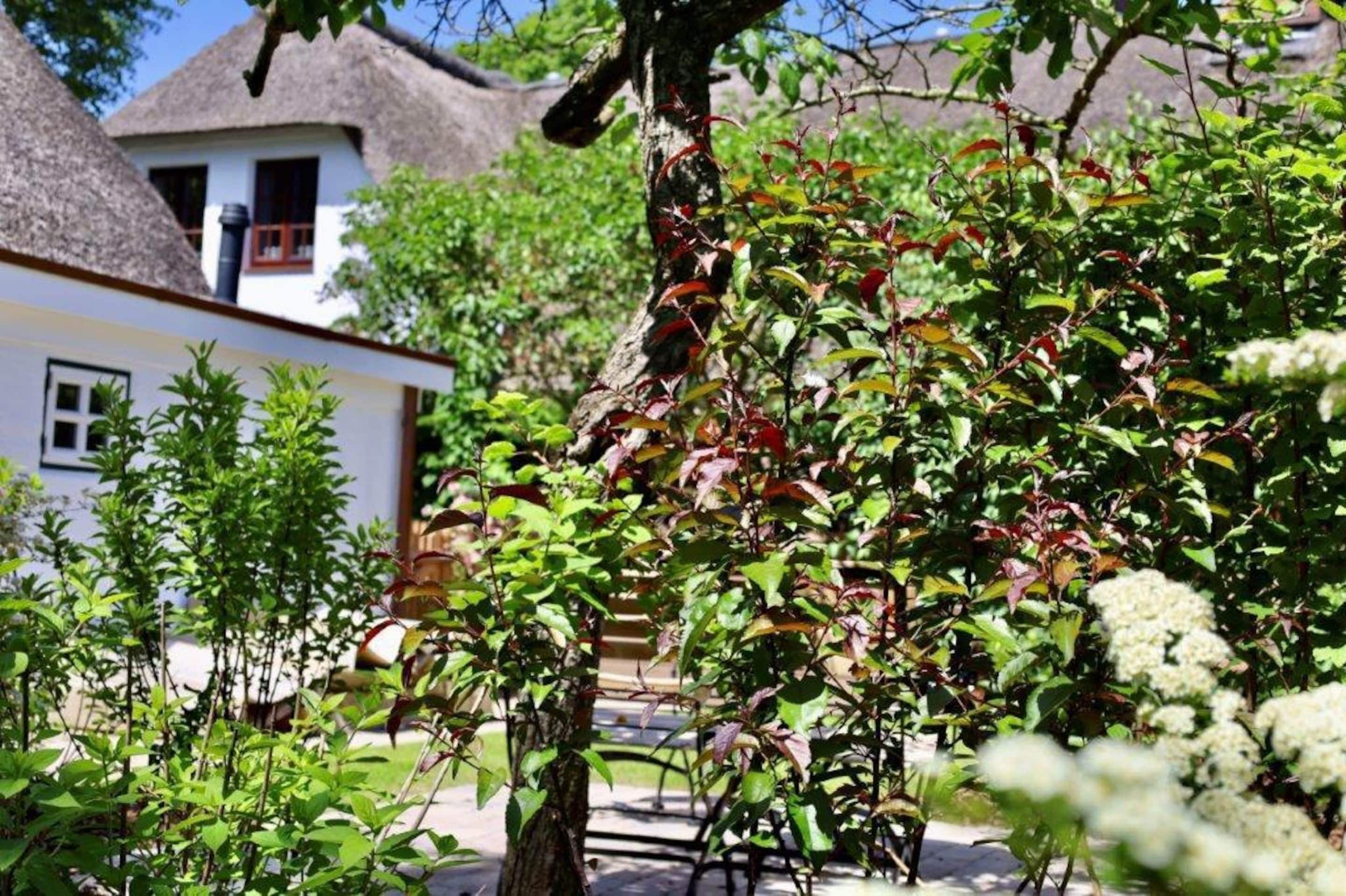 Căn hộ | Ngoại thất