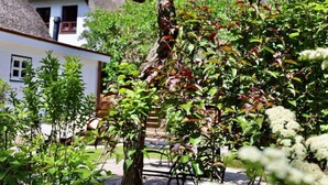 Un bâtiment traditionnel avec un toit de chaume, entouré d’une végétation luxuriante et de diverses espèces de plantes.