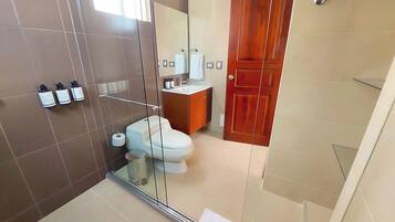 Un baño moderno con cabina de ducha de vidrio, un inodoro, un lavabo con espejo y un armario de madera.