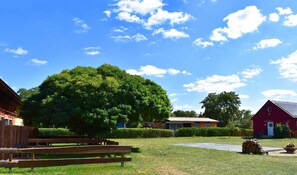 Apartment | Exterior