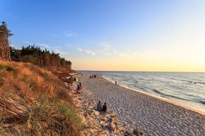Ein Strand mit Menschen, die sitzen und am Ufer entlanggehen, umgeben von Gras und Bäumen.