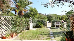 Un jardín con un sendero, palmeras y una zona de barbacoa.