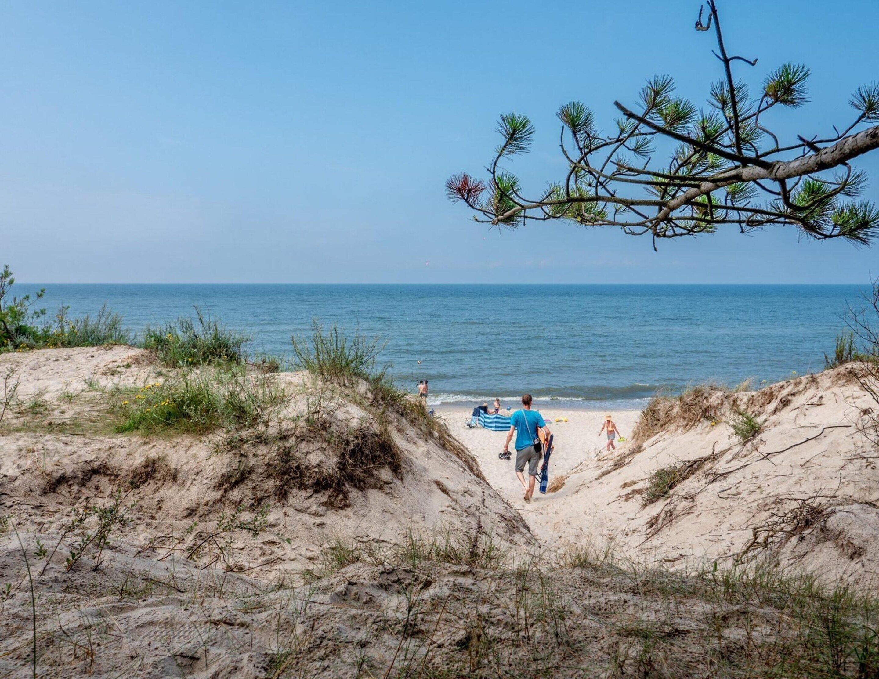 Ein Sandstrand mit Dünen und freiem Blick auf den Ozean.