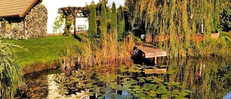 A house with a sloped roof, a pond with lily pads, and willow trees.