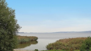 A grassy area with a body of water, trees, and a distant view of a city skyline.