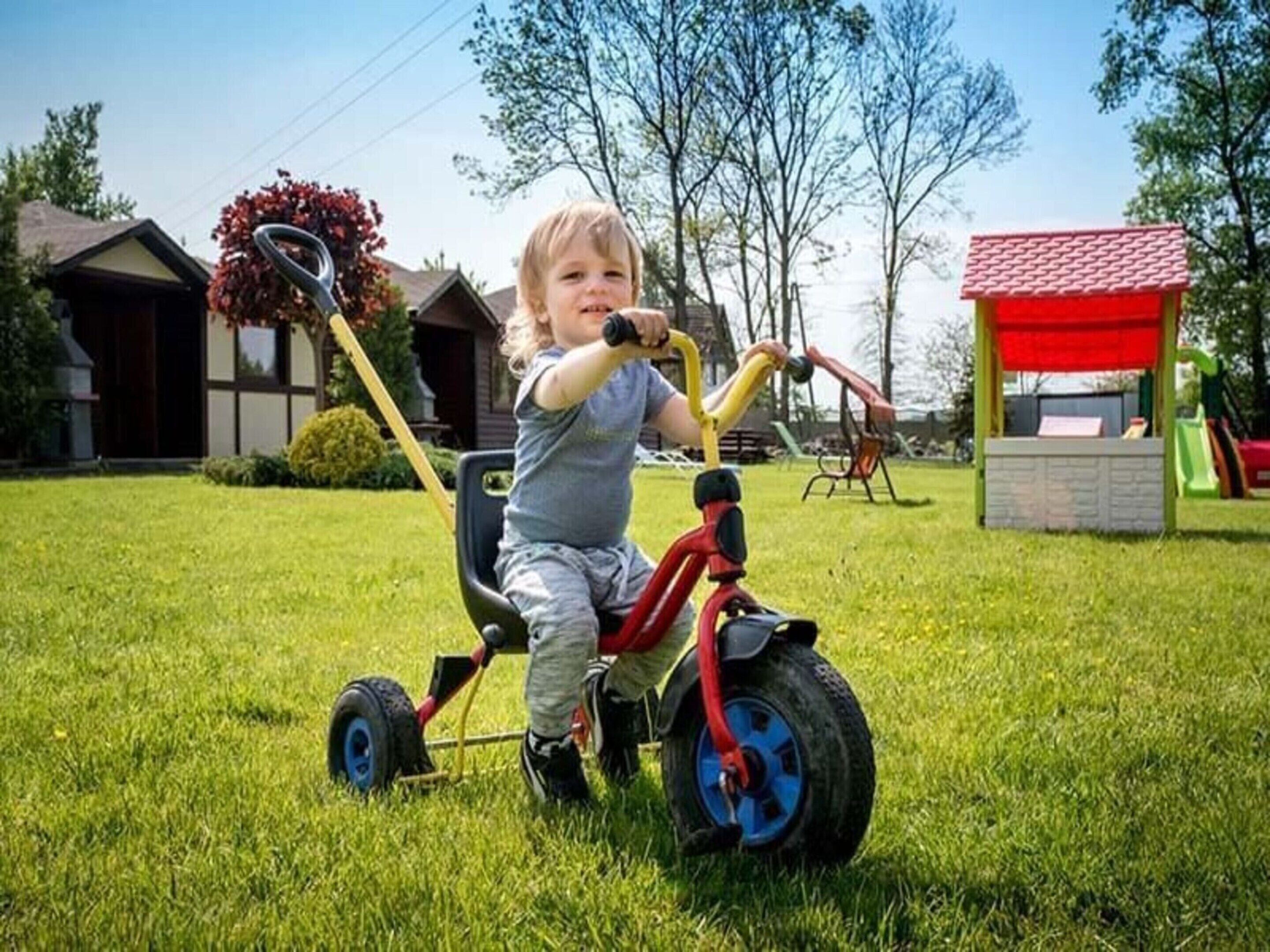 A child riding a red tricycle on a grassy lawn with a red-roofed structure in the background.
