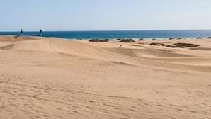 Wüstenlandschaft mit Sanddünen und einem Strand im Hintergrund.
