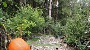 A rustic outdoor setting with a large pumpkin on a wooden table, surrounded by lush greenery and a stone wall. - House in Wiselka Near Baltic Sea Beach (Międzyzdroje)