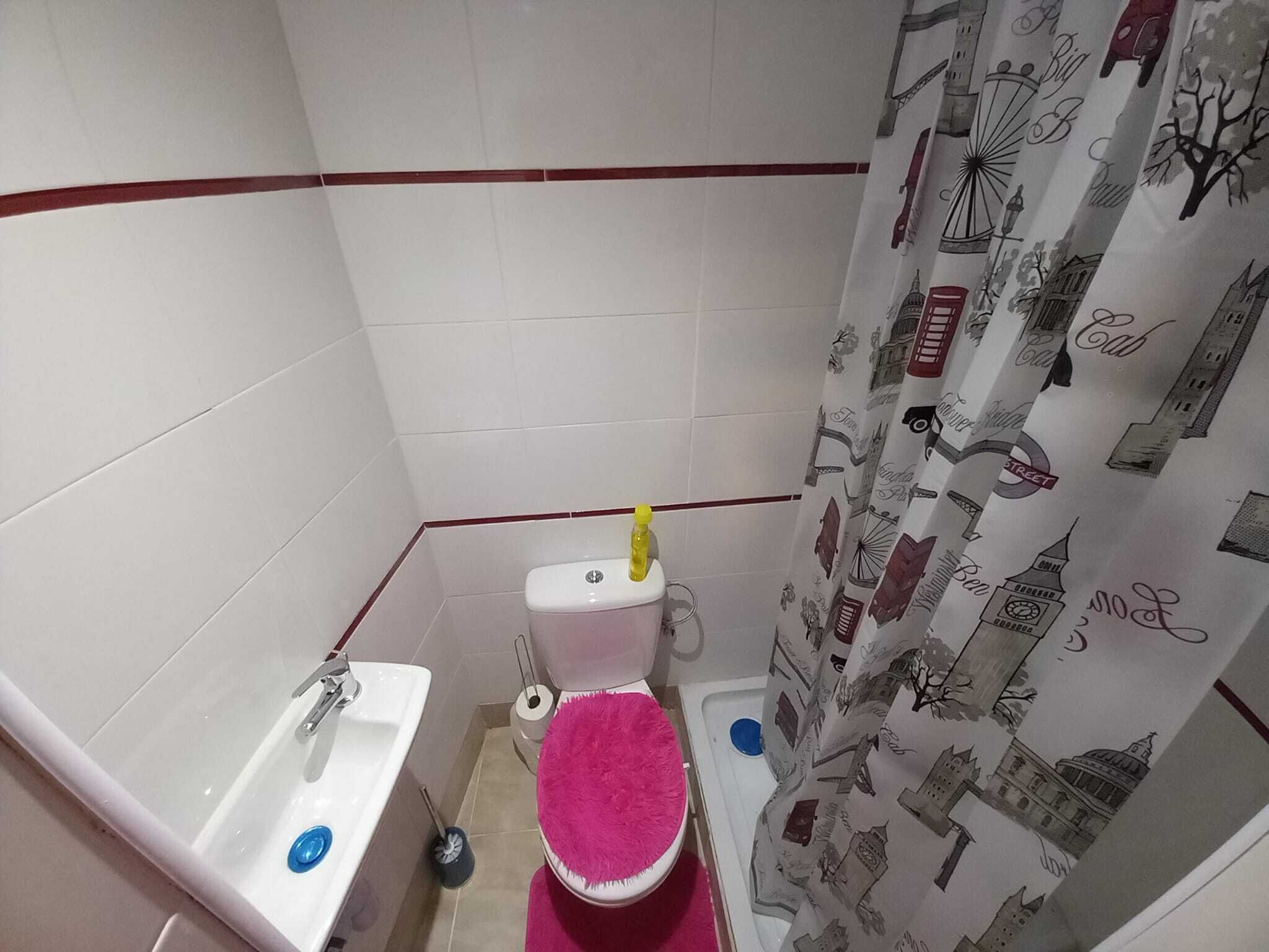 Shower, towels, toilet paper