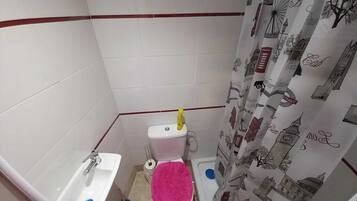 Shower, towels, toilet paper