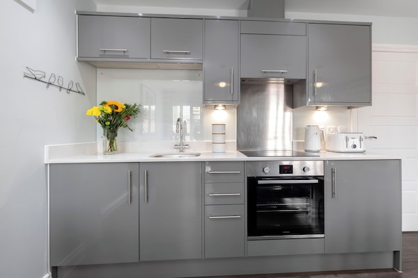 Apartamento | Cocina privada | Frigorífico pequeño, horno, placa de cocina y hervidor eléctrico