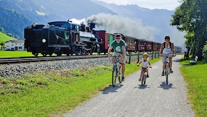 Un train circulant sur des voies ferrées, avec un paysage montagneux en arrière-plan.