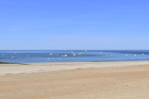 Apartment | Water view - Apartment in Rowy Near Baltic Sandy Beach (Ustka)