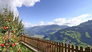 Apartment | Blick von der Unterkunft