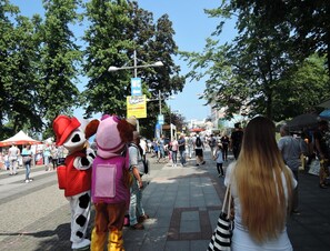 Bungalow | View from property