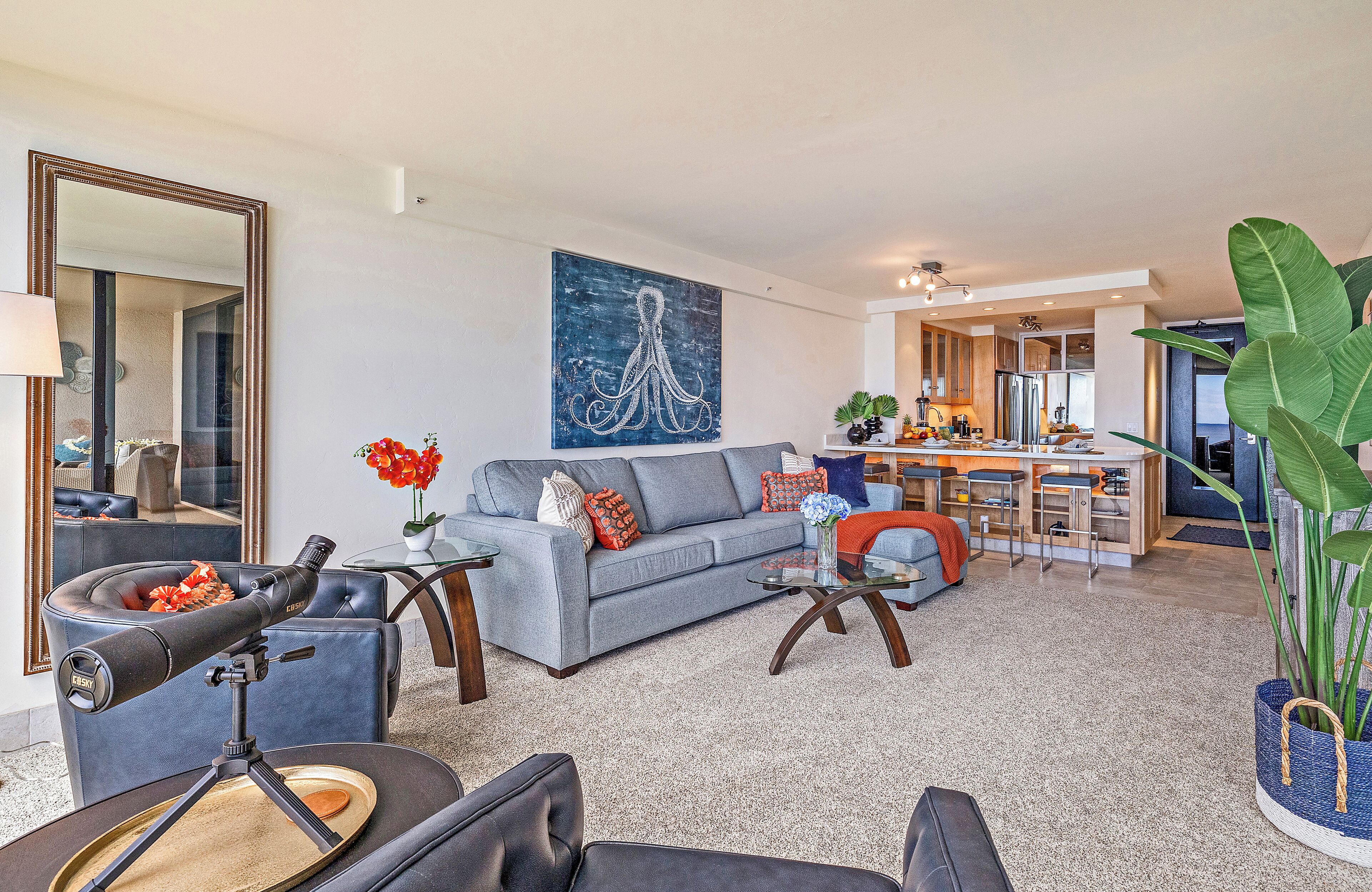 Smart TV, DVD player, books