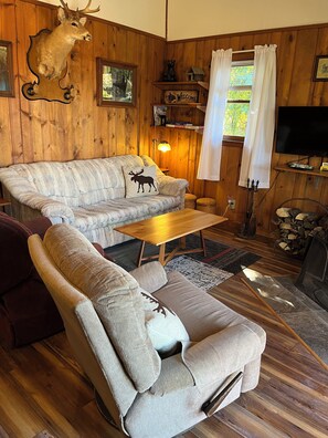 Smart TV, fireplace, books