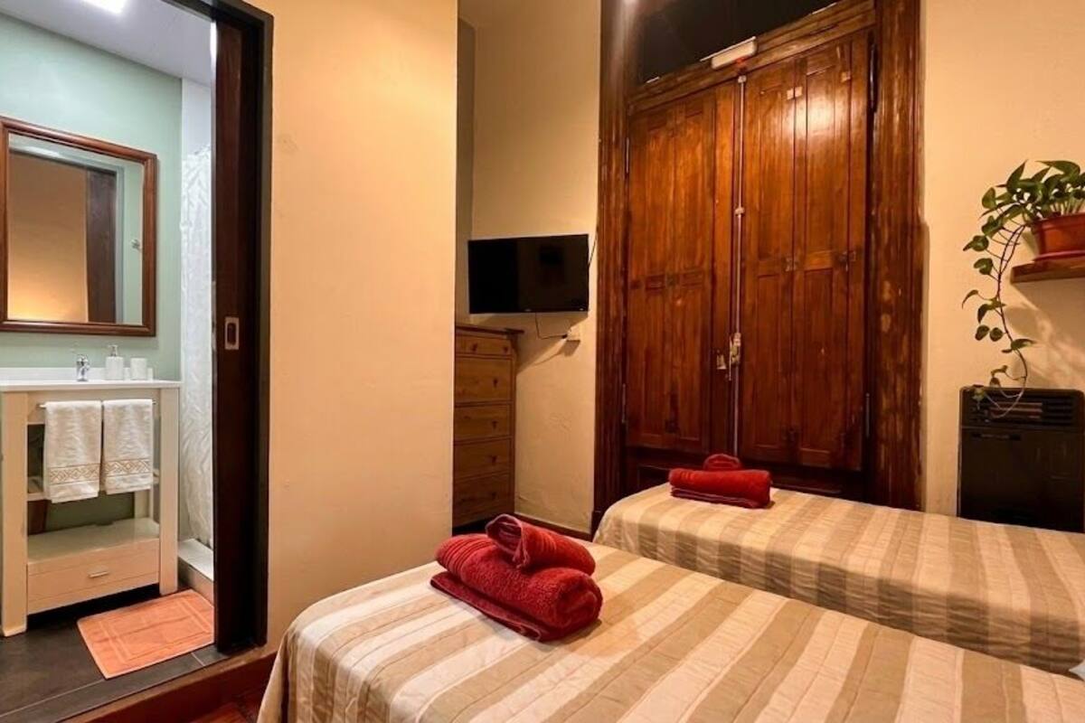 A bedroom with two beds, a wooden wardrobe, a television, and a potted plant.