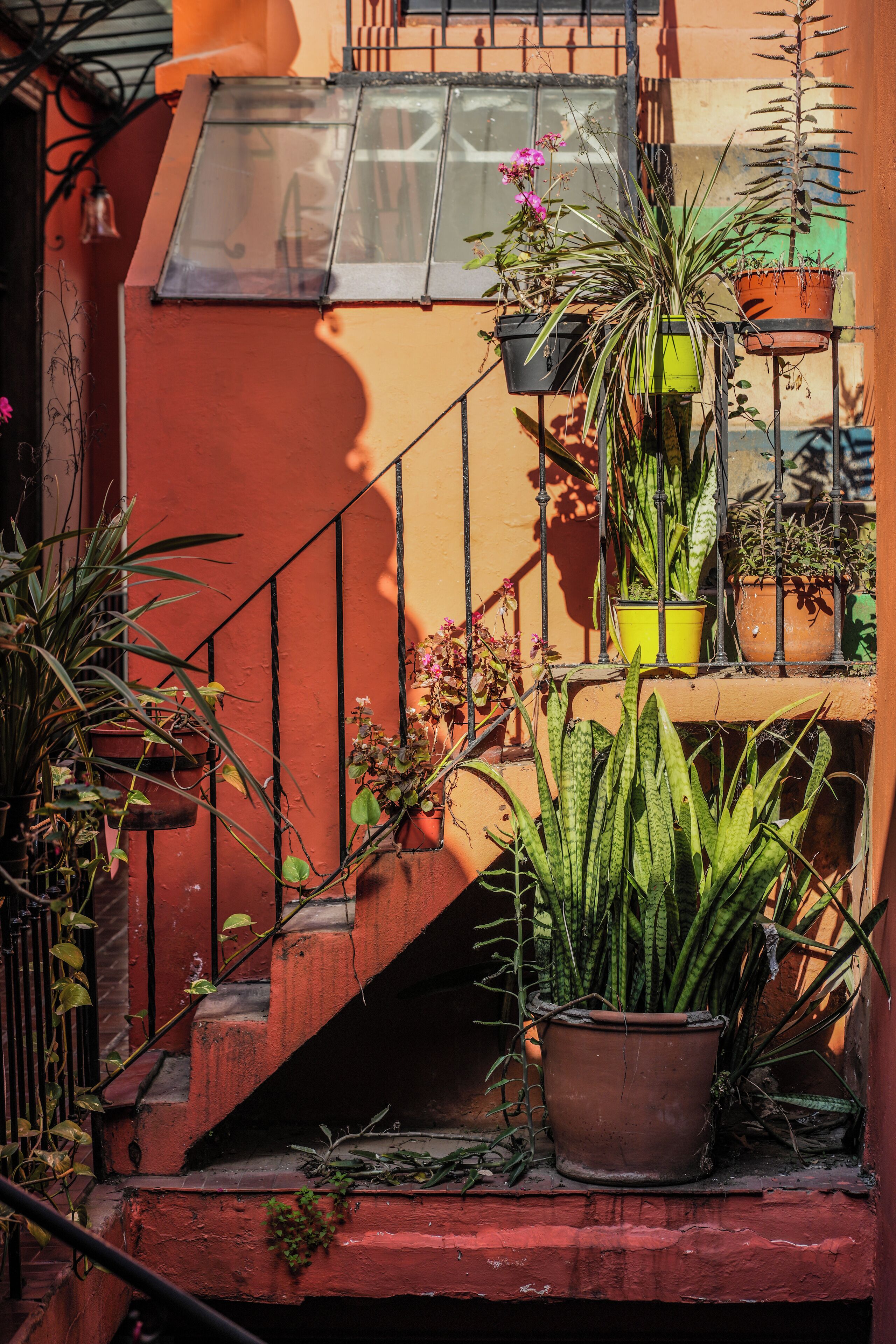 Foto - ViaVia BsAs GuestHouse