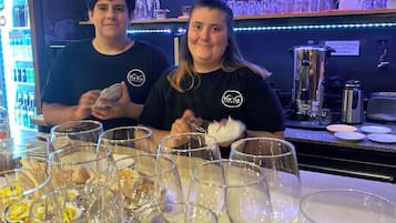 Bar (en la propiedad)