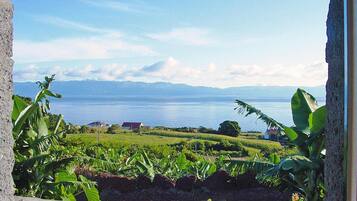 House | View from property