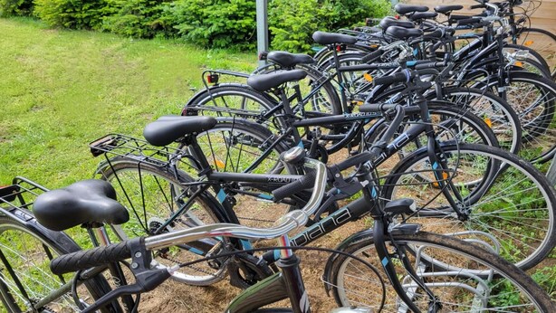 Diverse biciclette parcheggiate all'aperto, probabilmente in uno spazio pubblico o condiviso.
