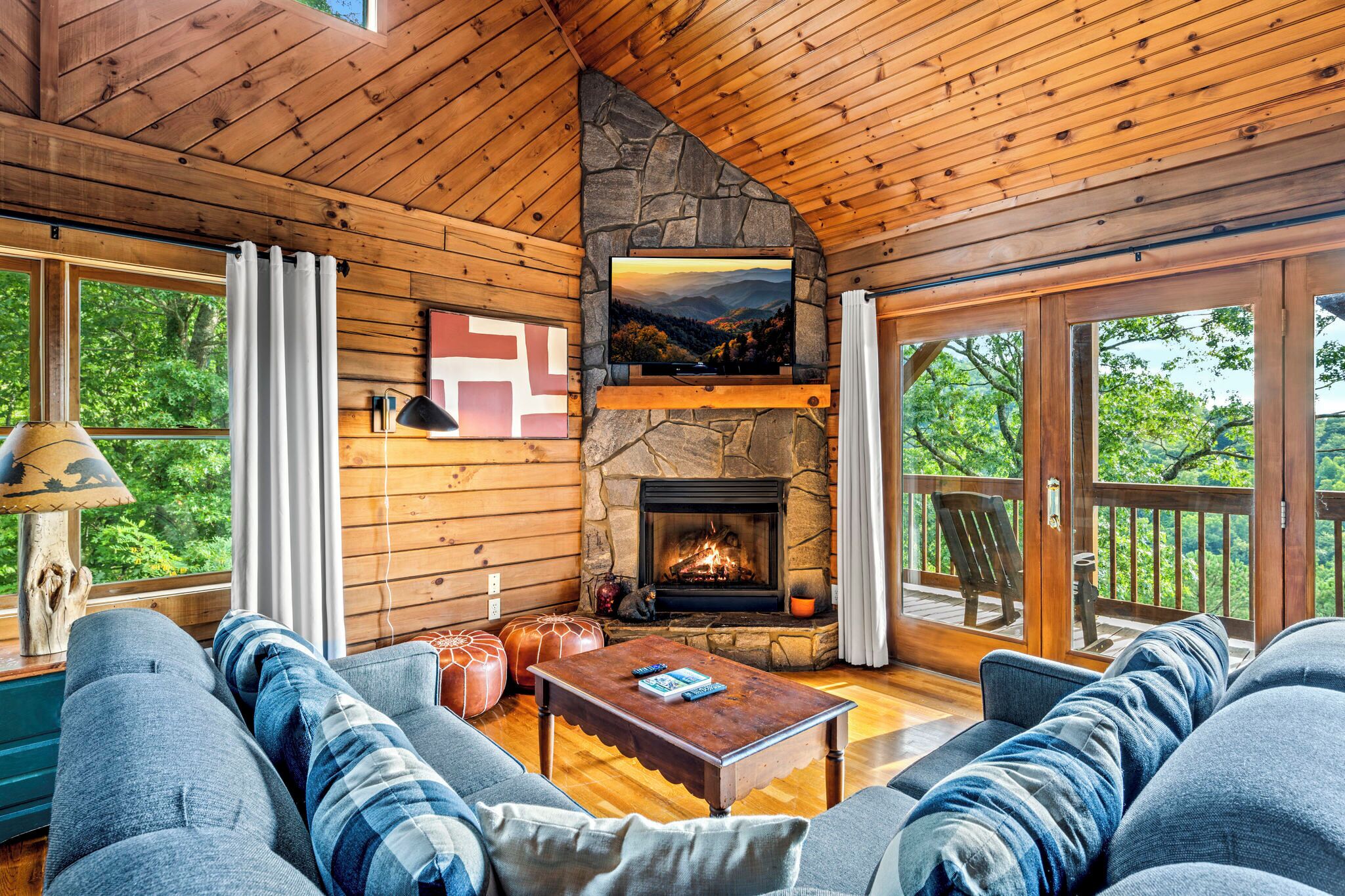 Smart TV, fireplace, video games, DVD player