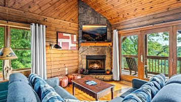 Smart TV, fireplace, video games, DVD player