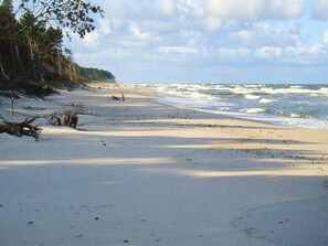 Ein Strand mit Sandküste, Wellen und einem bewaldeten Bereich.