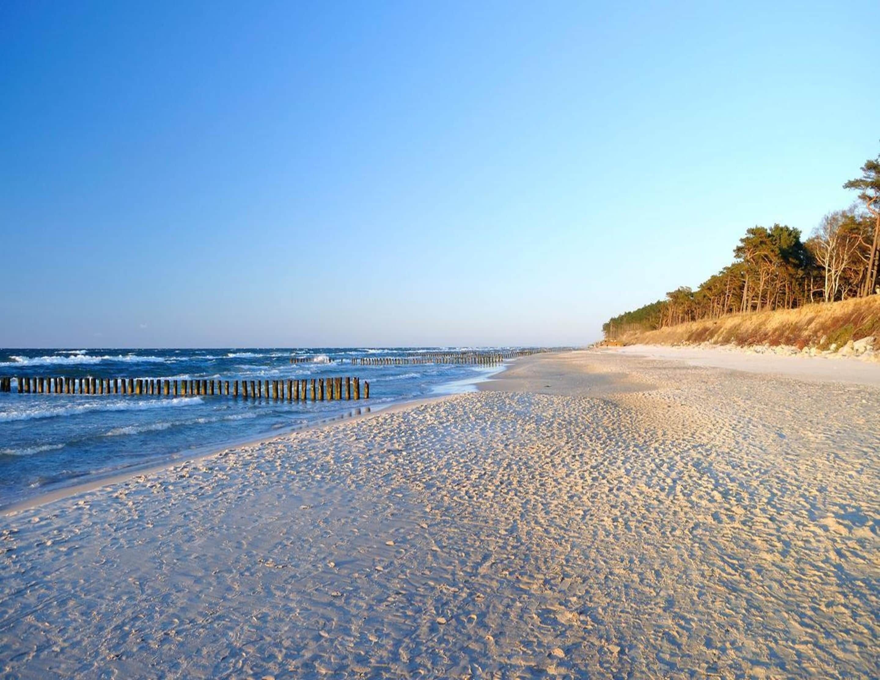 A beach with a wooden jetty, sandy shore, and a line of trees.