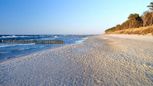 A beach with a wooden jetty, sandy shore, and a line of trees. - Apartment in Pobierowo Near Baltic Sea Beach (Rewal)