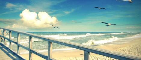 Hus | Utsikt fra overnattingsstedet