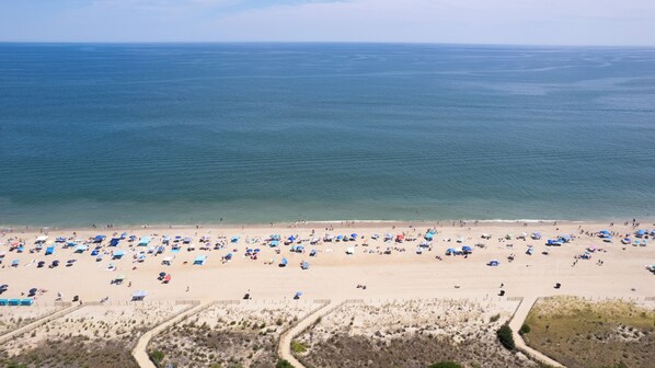 Sun-loungers, beach towels