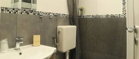 Shower, hair dryer, bidet, towels