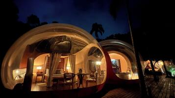 Two transparent dome-shaped accommodations with interior lighting, a wooden deck, and palm trees in the background.
